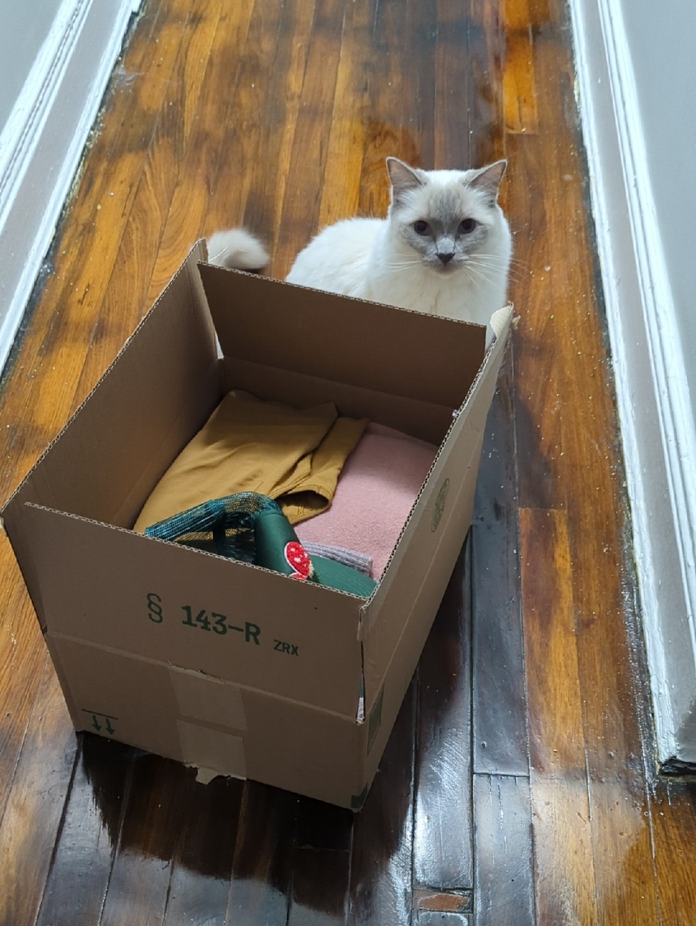 Variety Box K